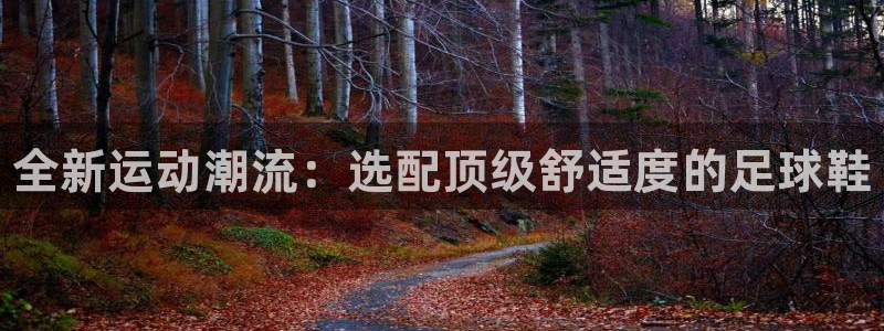 米兰体育官方正版app娱乐40996