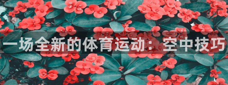 米兰体育官网下载招商电话是多少：一场全新的体育运动：