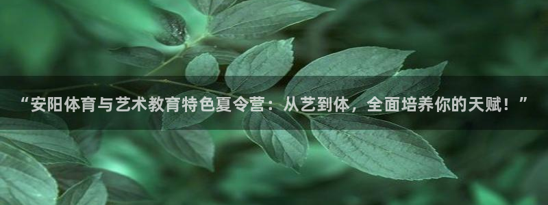 米兰体育官方正版app集团官网首页网址：“安阳体育与艺术教育