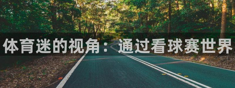 米兰体育官方正版app娱乐代理怎么样：体育迷的视角：