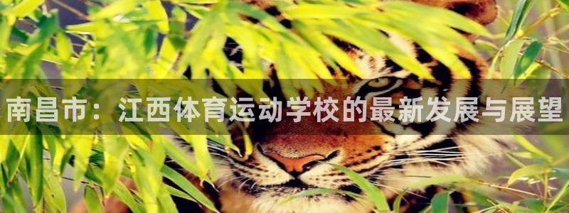 注册米兰体育官方正版app：南昌市：江西体育运动学校的最新发