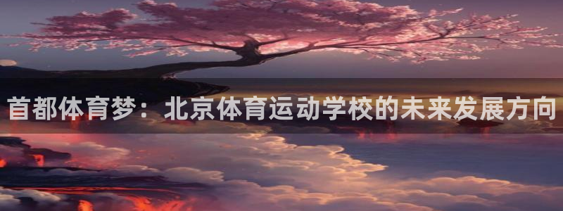 米兰体育官方正版app集团E.ON：首都体育梦：北京体育运动