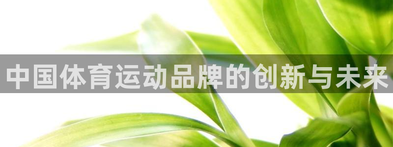 米兰体育官方正版app集团官网网址：中国体育运动品牌的创新与