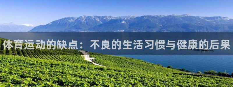 米兰体育官方正版app娱乐首页网站大全：体育运动的缺