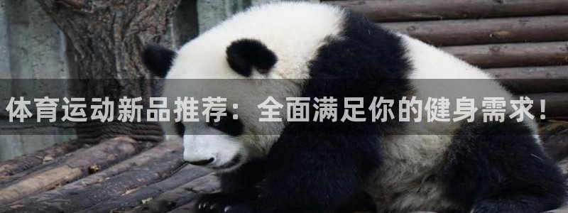 米兰体育官方正版app官方：体育运动新品推荐：全面满