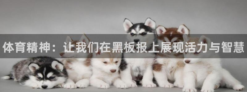 米兰体育官网下载招商电话地址：体育精神：让我们在黑板