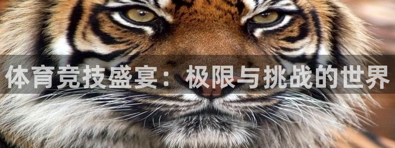 德国米兰体育官方正版app集团：体育竞技盛宴：极限与