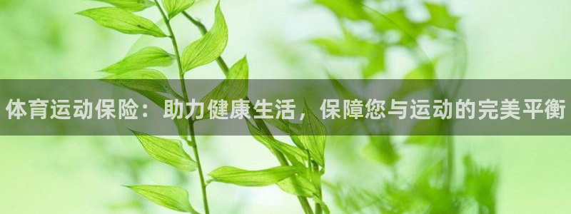 米兰体育官网下载软件：体育运动保险：助力健康生活，保
