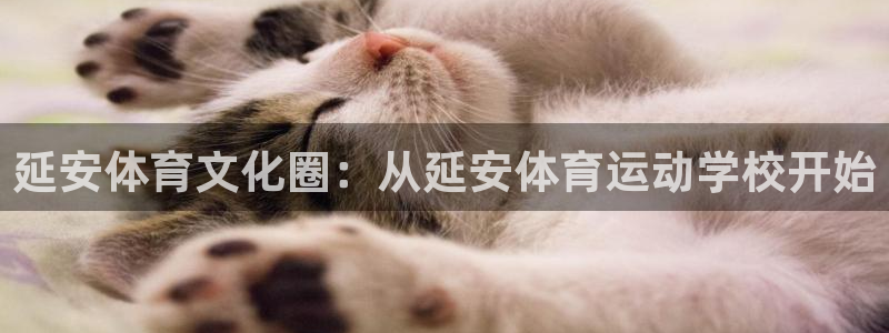 米兰体育官网下载平台APP：延安体育文化圈：从延安体育运动学