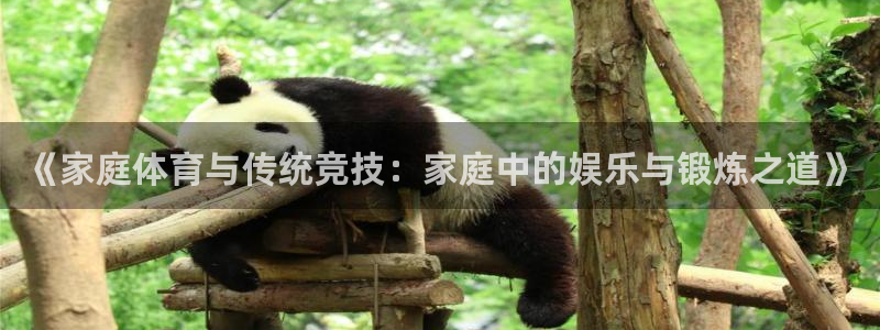 米兰体育官方正版app科技：《家庭体育与传统竞技：家庭中的娱