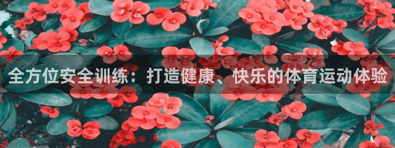 米兰体育官网下载平台是正规平台吗：全方位安全训练：打造健康、