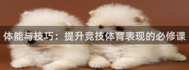 米兰体育官网下载平台是正规平台吗安全吗：体能与技巧：提升竞技