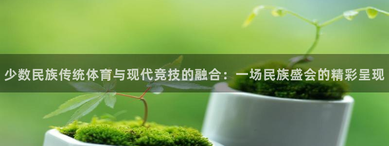 米兰体育官方正版app神州：少数民族传统体育与现代竞技的融合