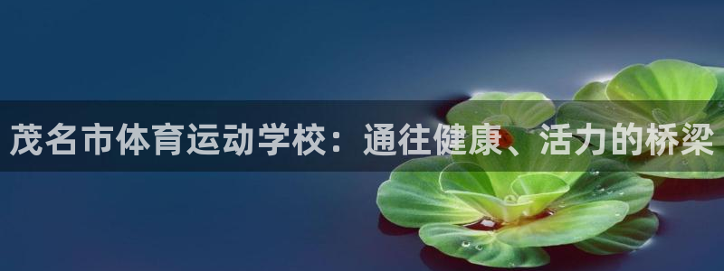 米兰体育官网下载招商电话地址是多少：茂名市体育运动学