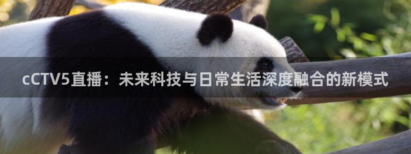 小罗玩球视频：cCTV5直播：未来科技与日常生活深度融合的新模式