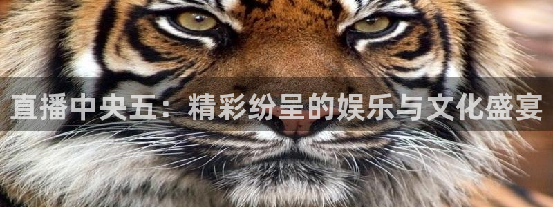 玩球直播ios版