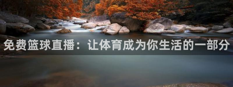 nba总决赛玩球直播