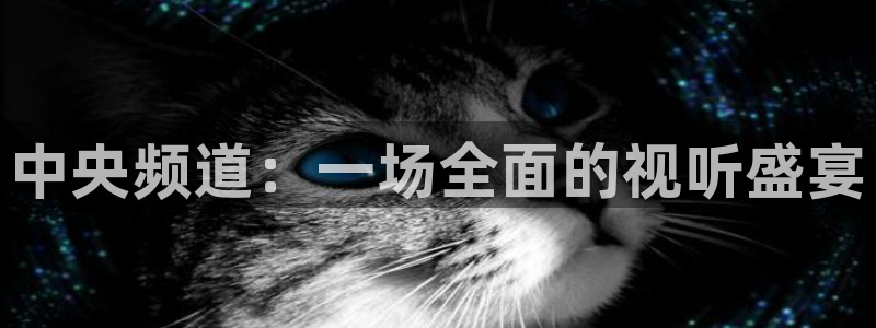 玩球直播网站：中央频道：一场全面的视听盛宴
