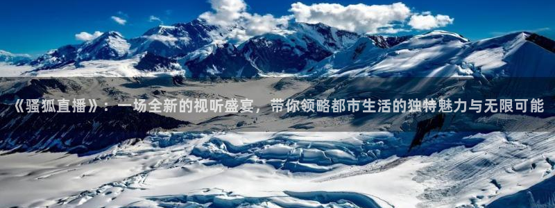 玩球tv直播：《骚狐直播》：一场全新的视听盛宴，带你领略都市生活的独特魅力与无限可能