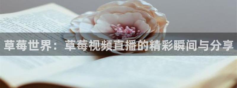 nba玩球直播