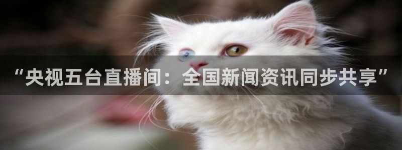 nba直播玩球：“央视五台直播间：全国新闻资讯同步共享”
