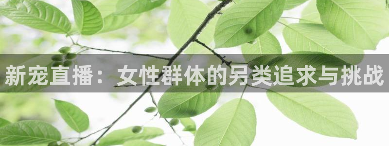 直播玩球：新宠直播：女性群体的另类追求与挑战