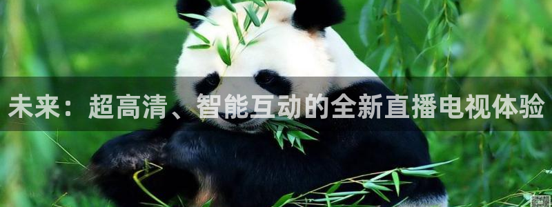 玩球直播app最新版本下载：未来：超高清、智能互动的全新直播电视体验
