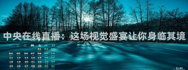 玩球直播nba体育直播：中央在线直播：这场视觉盛宴让你身临其境