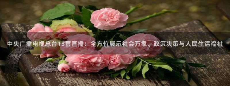 直播玩球：中央广播电视总台13套直播：全方位展示社会万象、政策决策与人民生活福祉